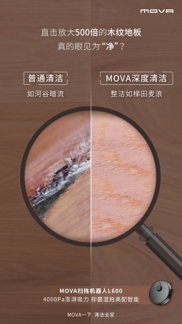 圖片包含 桌子, 男人, 球, 播放器 描述已自動生成